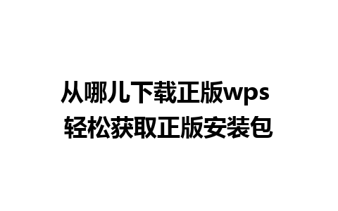 从哪儿下载正版wps 轻松获取正版安装包