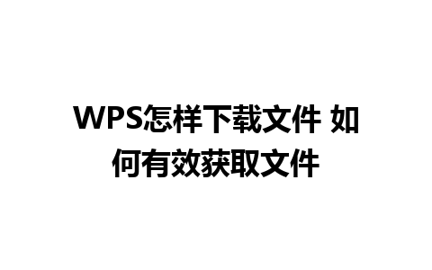 WPS怎样下载文件 如何有效获取文件 