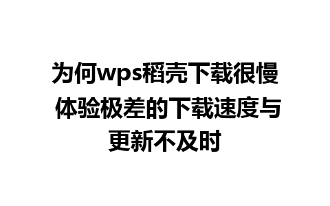 为何wps稻壳下载很慢 体验极差的下载速度与更新不及时