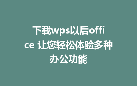 下载wps以后office 让您轻松体验多种办公功能