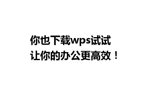 你也下载wps试试  让你的办公更高效！