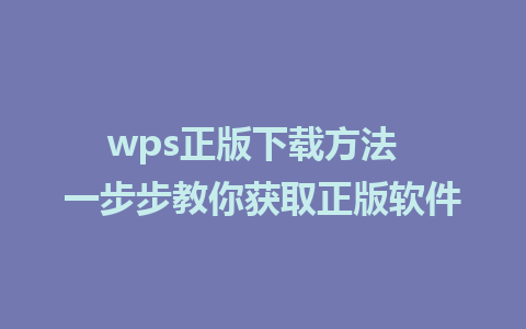 wps正版下载方法  一步步教你获取正版软件