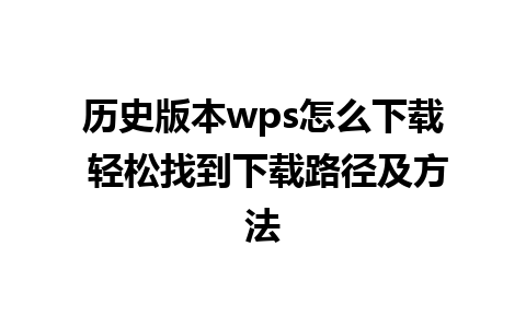 历史版本wps怎么下载 轻松找到下载路径及方法