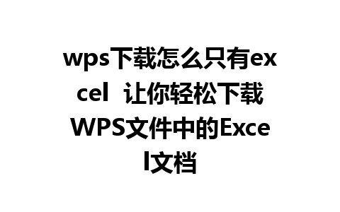 wps下载怎么只有excel  让你轻松下载WPS文件中的Excel文档