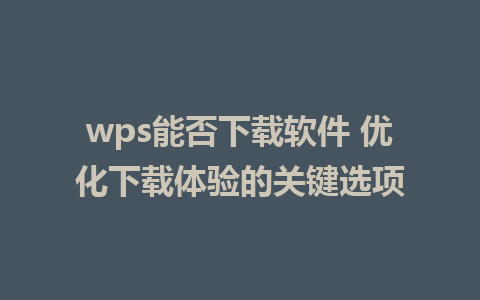 wps能否下载软件 优化下载体验的关键选项