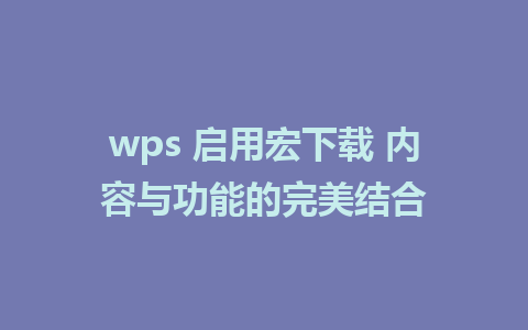 wps 启用宏下载 内容与功能的完美结合