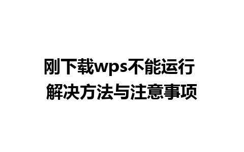 刚下载wps不能运行 解决方法与注意事项