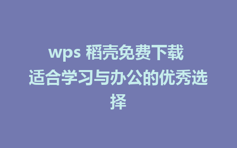 wps 稻壳免费下载 适合学习与办公的优秀选择