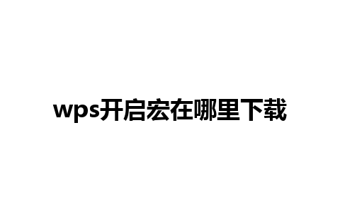 wps开启宏在哪里下载