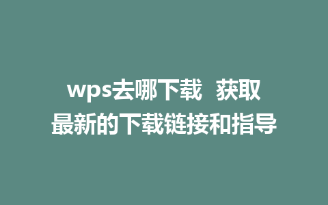 wps去哪下载  获取最新的下载链接和指导