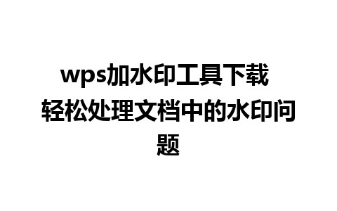 wps加水印工具下载 轻松处理文档中的水印问题