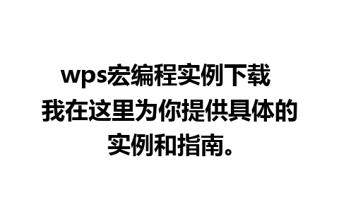 wps宏编程实例下载 我在这里为你提供具体的实例和指南。