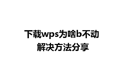 下载wps为啥b不动 解决方法分享