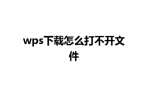 wps下载怎么打不开文件