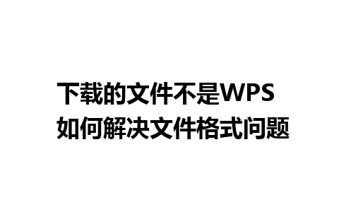 下载的文件不是WPS  如何解决文件格式问题