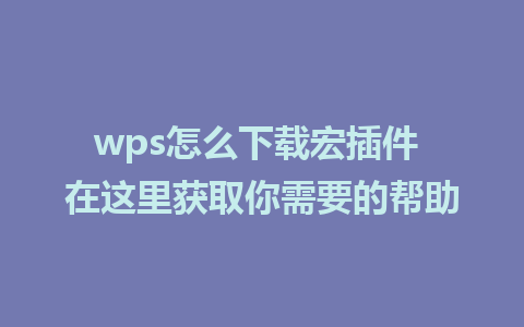 wps怎么下载宏插件 在这里获取你需要的帮助