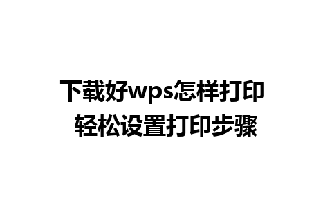 下载好wps怎样打印 轻松设置打印步骤