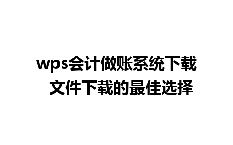 wps会计做账系统下载  文件下载的最佳选择