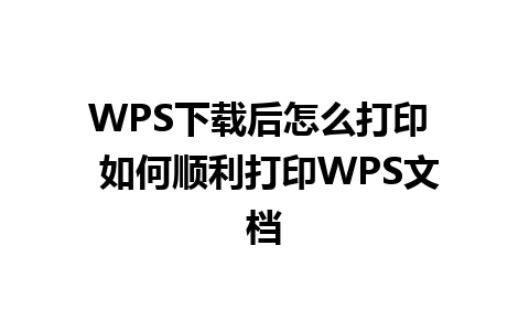 WPS下载后怎么打印  如何顺利打印WPS文档