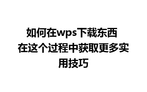 如何在wps下载东西 在这个过程中获取更多实用技巧