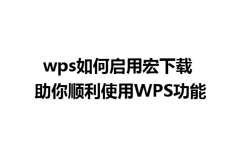 wps如何启用宏下载 助你顺利使用WPS功能