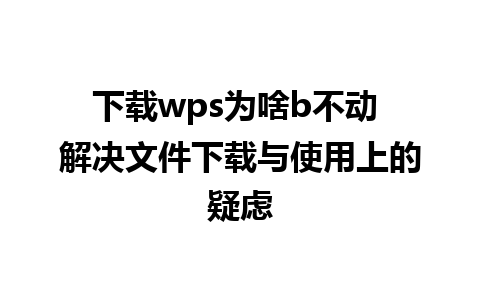 下载wps为啥b不动 解决文件下载与使用上的疑虑