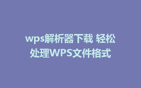 wps解析器下载 轻松处理WPS文件格式