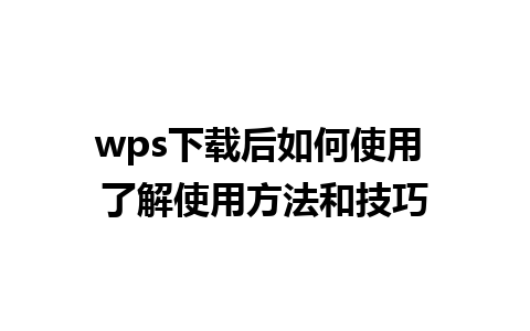 wps下载后如何使用 了解使用方法和技巧