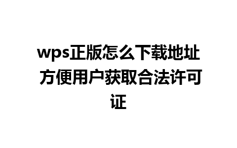 wps正版怎么下载地址 方便用户获取合法许可证