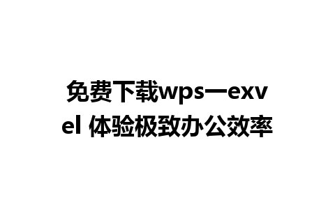 免费下载wps一exvel 体验极致办公效率