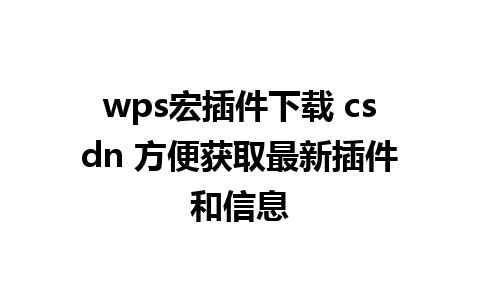  wps宏插件下载 csdn 方便获取最新插件和信息