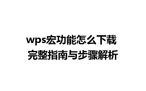 wps宏功能怎么下载 完整指南与步骤解析