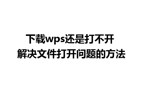 下载wps还是打不开 解决文件打开问题的方法