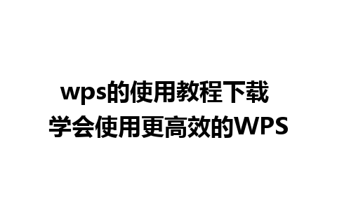 wps的使用教程下载 学会使用更高效的WPS