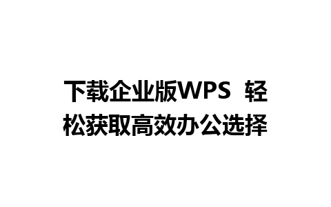 下载企业版WPS  轻松获取高效办公选择