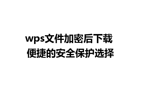 wps文件加密后下载 便捷的安全保护选择