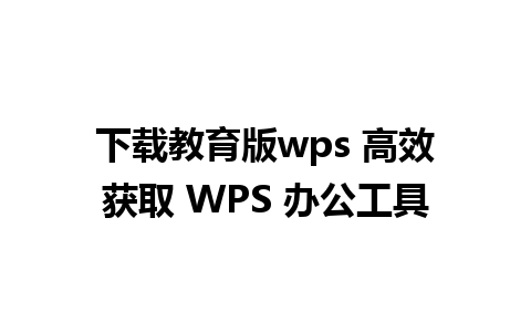 下载教育版wps 高效获取 WPS 办公工具