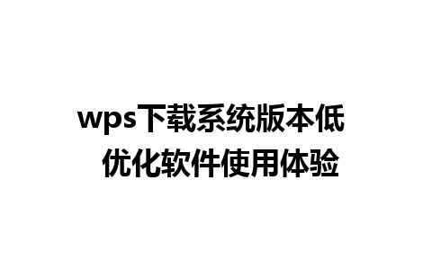 wps下载系统版本低  优化软件使用体验