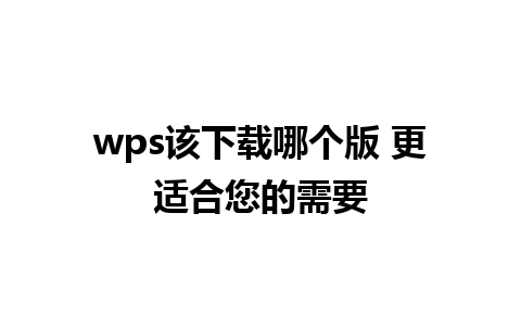 wps该下载哪个版 更适合您的需要