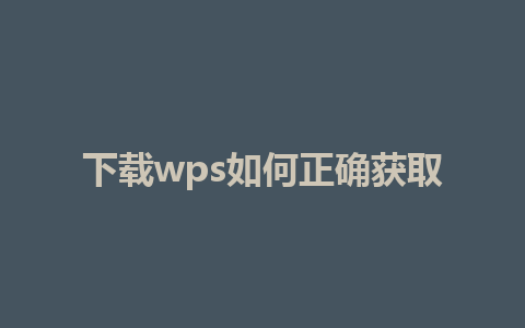 下载wps如何正确获取