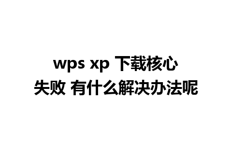 wps xp 下载核心失败 有什么解决办法呢