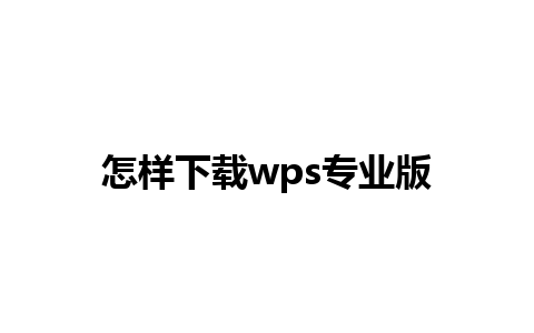 怎样下载wps专业版