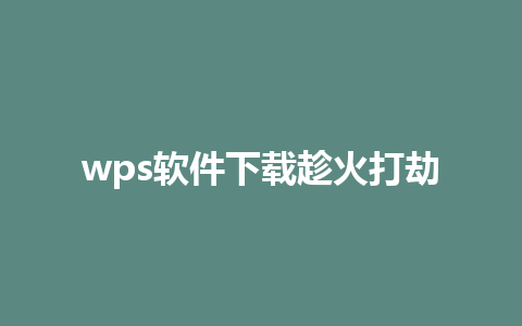 wps软件下载趁火打劫