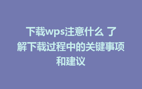 下载wps注意什么 了解下载过程中的关键事项和建议