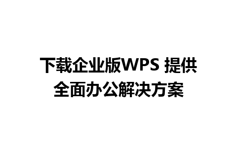 下载企业版WPS 提供全面办公解决方案