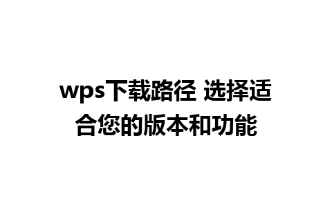 wps下载路径 选择适合您的版本和功能