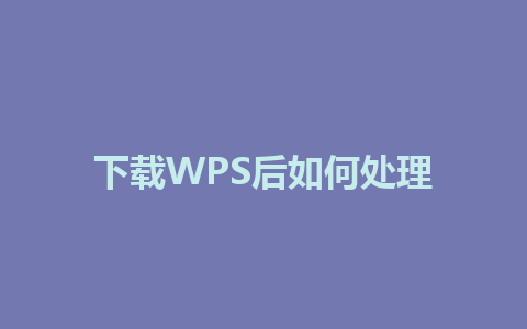 下载WPS后如何处理