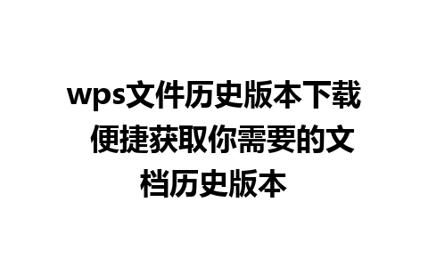 wps文件历史版本下载  便捷获取你需要的文档历史版本