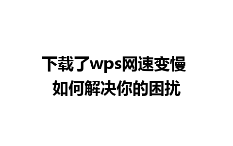 下载了wps网速变慢 如何解决你的困扰