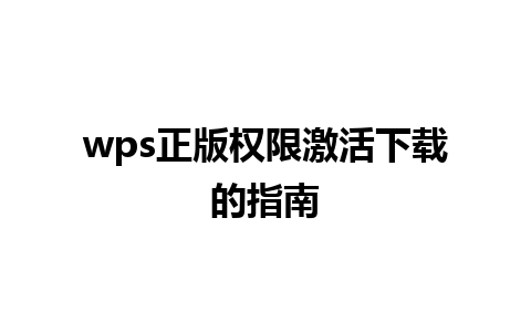 wps正版权限激活下载的指南